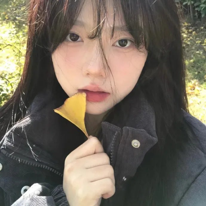 正义小包公