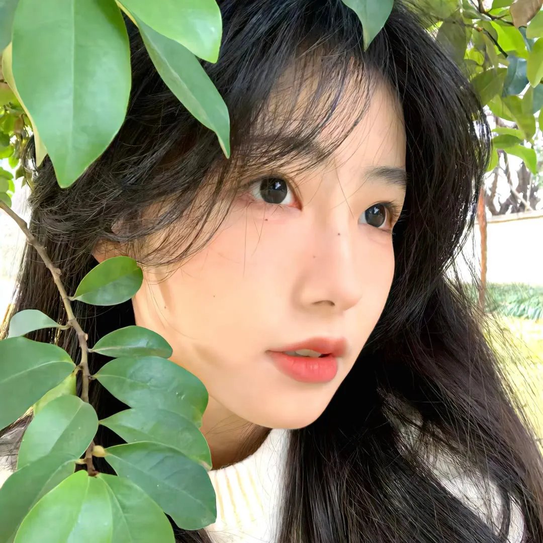 顽皮豹之贵格会